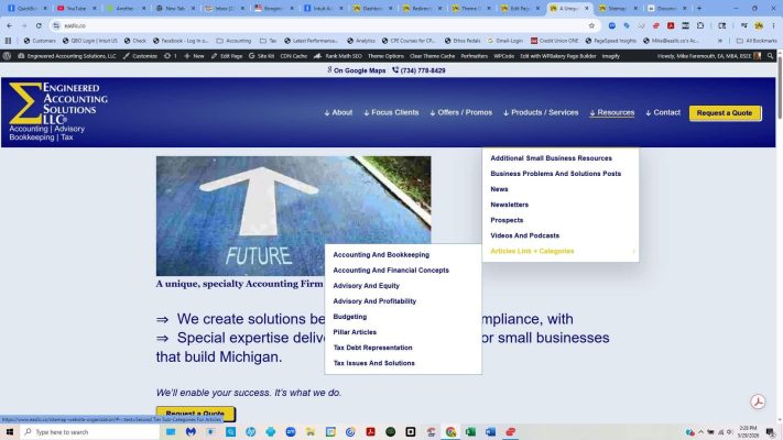 Articles heading and link showing Categories below.